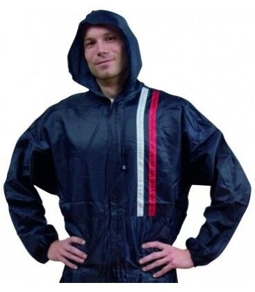 Mono Pintor Azul - XL