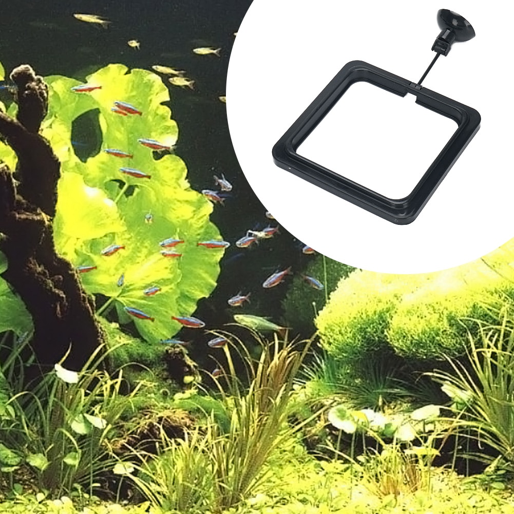 Aquarium Fütterung Ring Fisch Tank Station Schwimm Tablett Feeder Platz Kreis Zubehör Fischfutter Saugnapf Schwarz