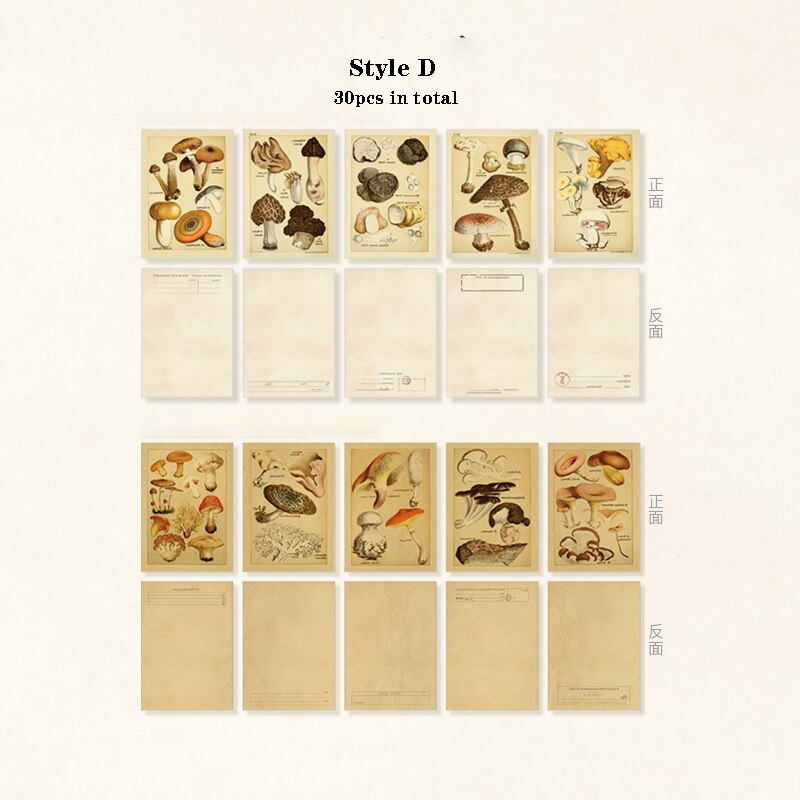 Mr.Paper 30pcs/pack 8 Designs Plant Material Paper Diary Scrapbooking Diary Planner Decorative DIY Craft Paper Stationery: D