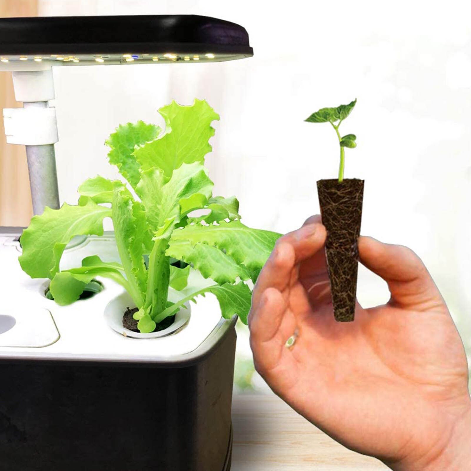 Bouchons d'éponge de croissance de racine de remplacements de gousses d'éponge de démarreur de graine pour le démarrage de graine de jardin d'intérieur hydroponique