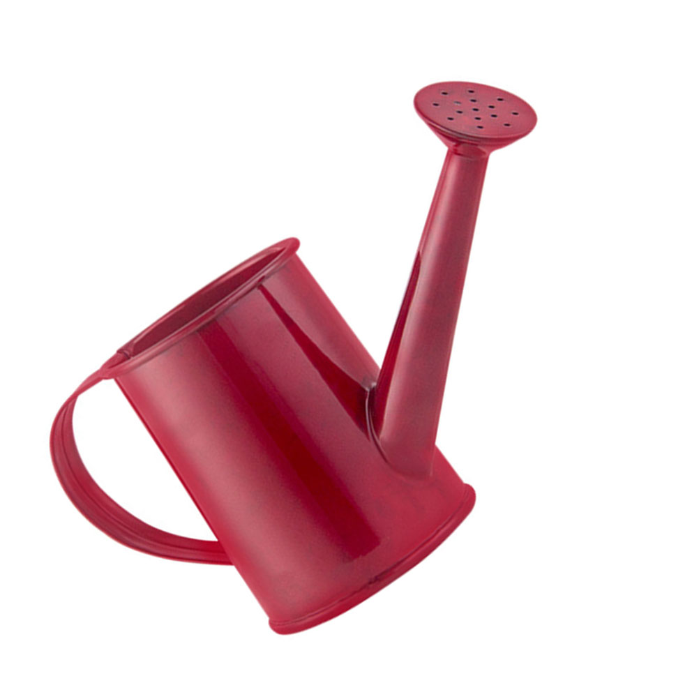 Pot Iron Watering Can Portable Watering Kettle Watering Pot Gardening Tool for Office Garden Balcony