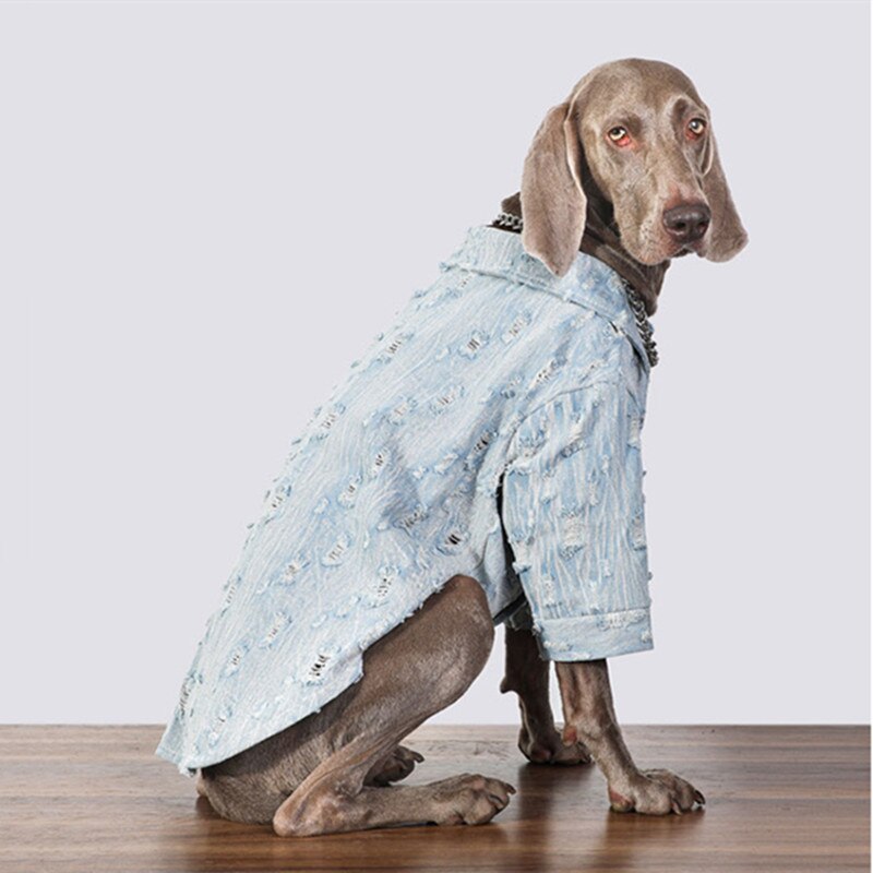 Large Dog Clothes Spring and Autumn Dog Jacket Denim Dog Coat Golden Retriever Labrador Doberman Dog Clothes Dog Accessories
