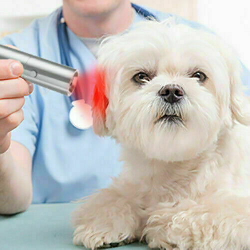 verrotten Licht Therapie Gerät-3-in-1 verrotten Infrarot 850nm für Schmerzen Linderung auf Körper, knie, Knöchel, Hände, Füße, Hunde, Muskel Steifigkeit