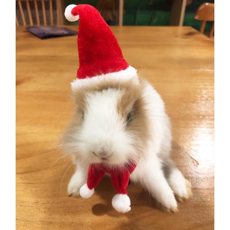 Lille kæledyr jul hat bomuld hamster julemanden kasket med tørklæde kæledyr cosplay diy pindsvin marsvin hamster tilbehør