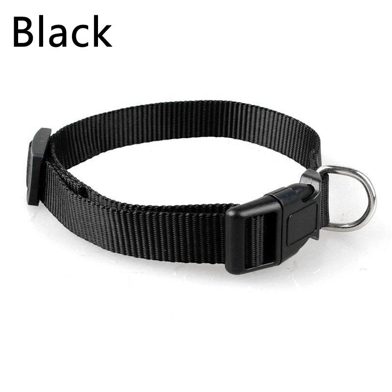 Pet Adjustable nylon dog collars Puppy Dogs Cat Neck Collar Solid Color Chihuahua Puppy nylon Collars: C / L