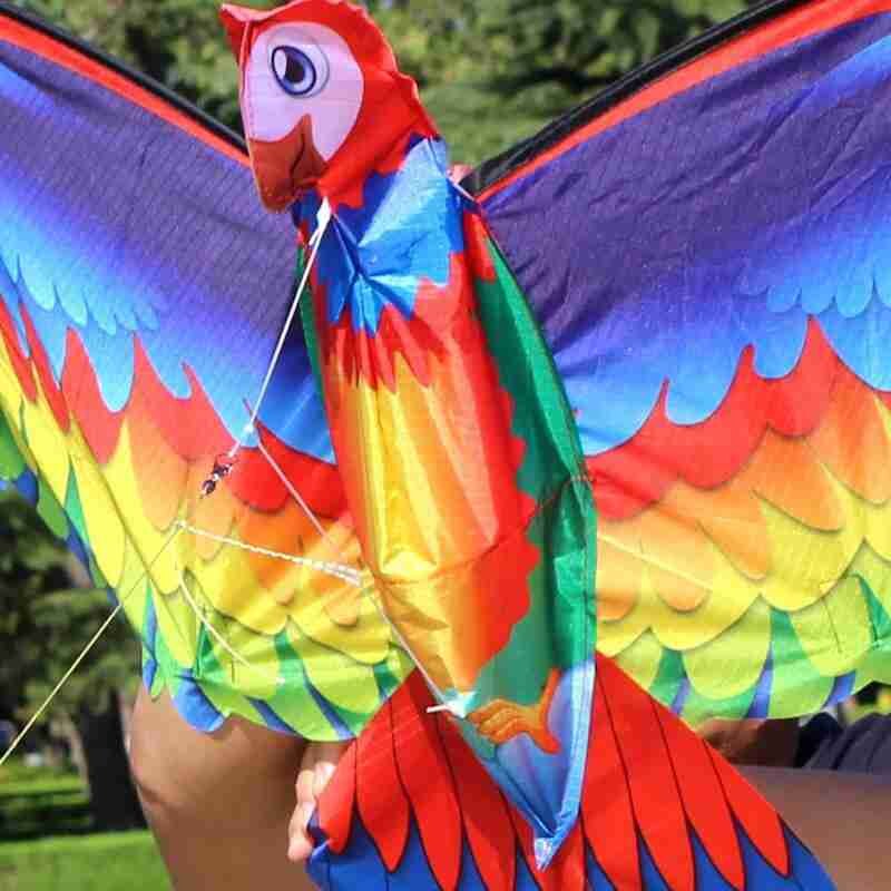 Kite Animal Kite 3D Parrot kite 3D Parrot kite