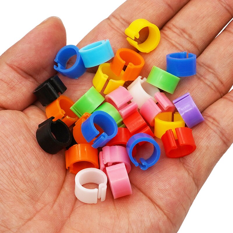 100Pcs 11Colors Birds Feet Rings Inner Diameter 8Mm Width 7Mm Plastic Clip Ring Pigeon Dove Quail Foot Ring Farm Animal Carrier