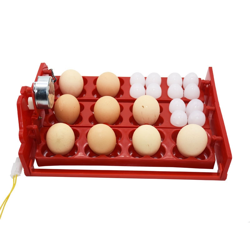 12 æg /48 fugle æg inkubator drej æg bakke 220v/110v kylling fugl automatisk inkubator fjerkræ inkubator udstyr 1 sæt
