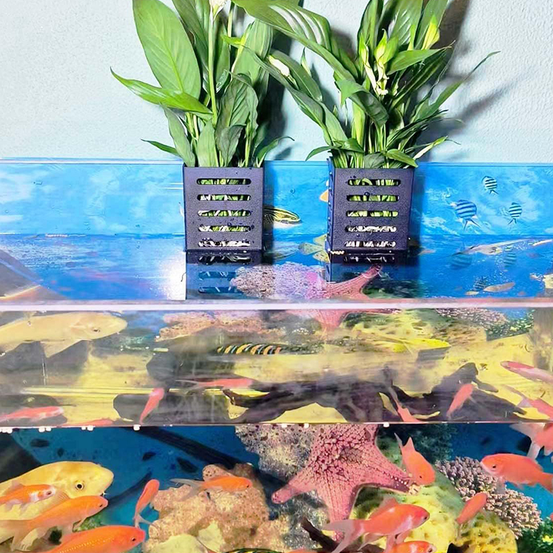 Schwimmende hängende Aquarium-Pflanzenhalter-Haken, Wasserpflanzentopf, Aquarium-Pflanzgefäß, Tassen, Pflanzkörbe, Aquascape-Dekorationen