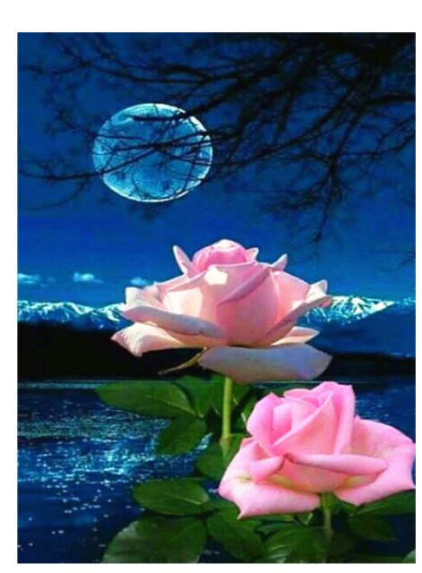 Diamond Painting Rose Full Square Embroidery Flowers Diamond Art Cross Stitch Home Decor Handmade Rhinestones 30x40cm: Blue