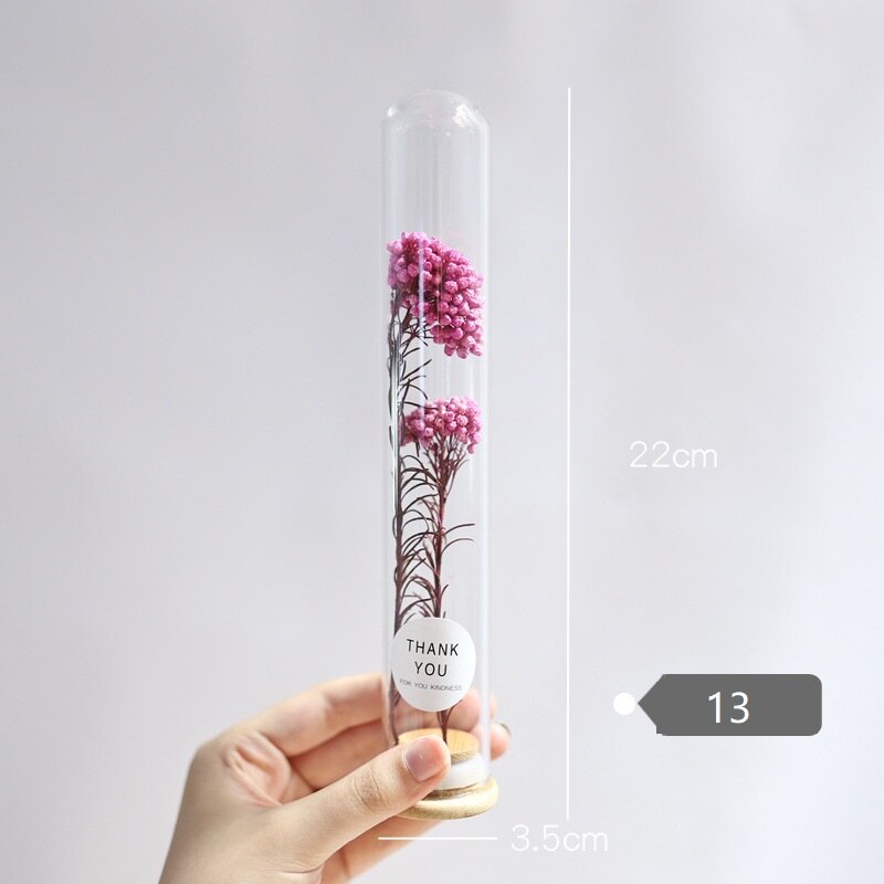 Dried Flower Glass Test Tube Decorations Family Living Room Study Specimens Ornaments: 13