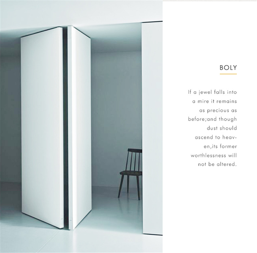 Stainless Steel Pivot Heavy Duty 360-degree Rotating Shaft Wooden Door Hinge Shaft Murphy Positioning Door Shaft Hidden Axis