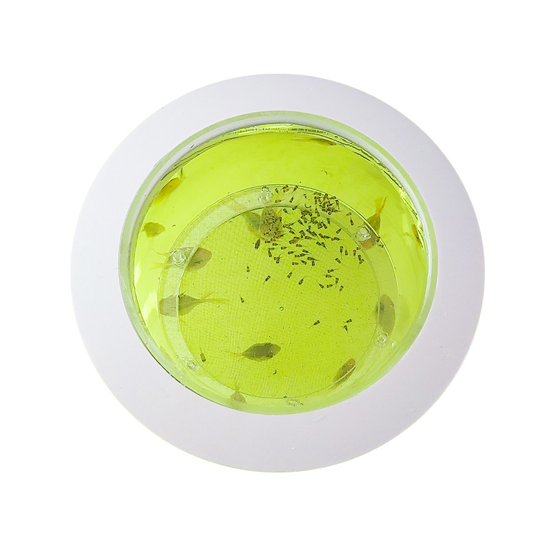 Suspended Fish Tank Breeding Isolation Box Transparent Acrylic Aquarium Incubator Multifunctional Spawning Room Fish Supplies