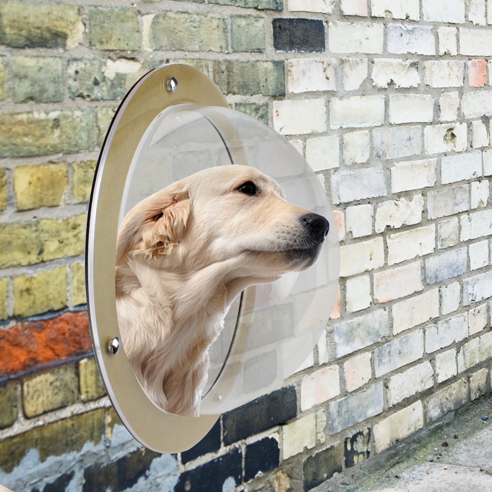 Hund kæledyr vindue 31.5 x 31.5 x 12.5cm kæledyr hund hegn vindue katte hunde kigge boble holdbar akryl kuppel vindue