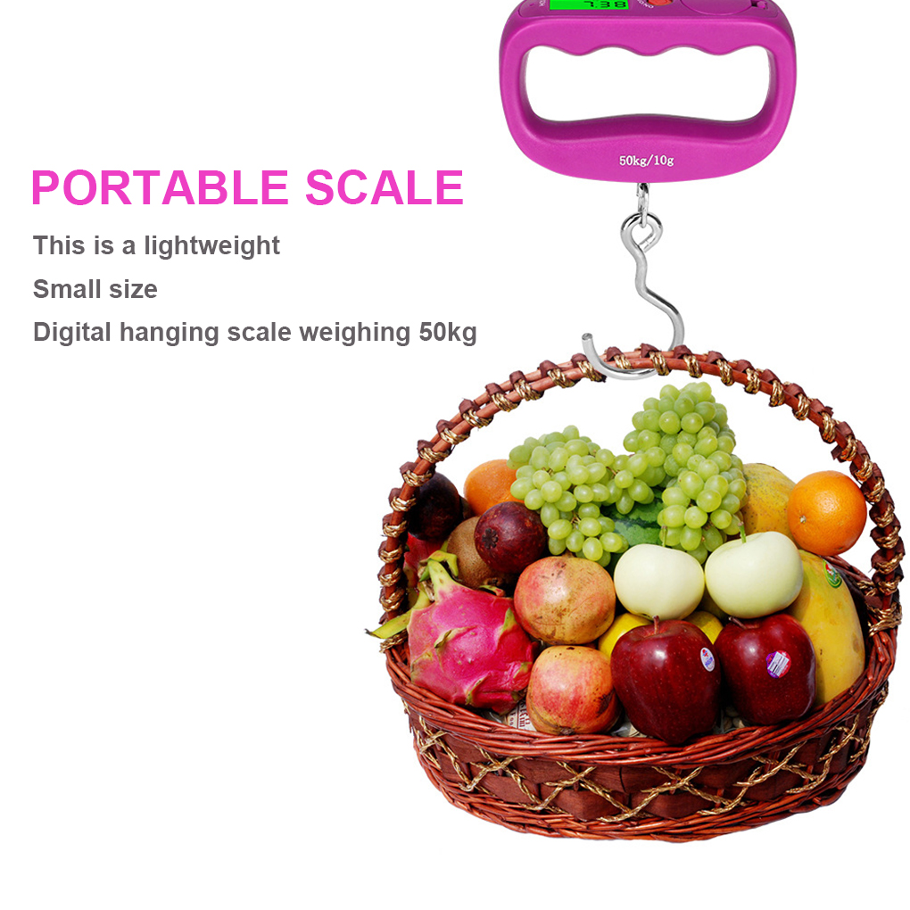 Hanging Scale Double Precision LCD Display with Backlight 50kg Tare Function Electronic Scales for Outdoor Household Market