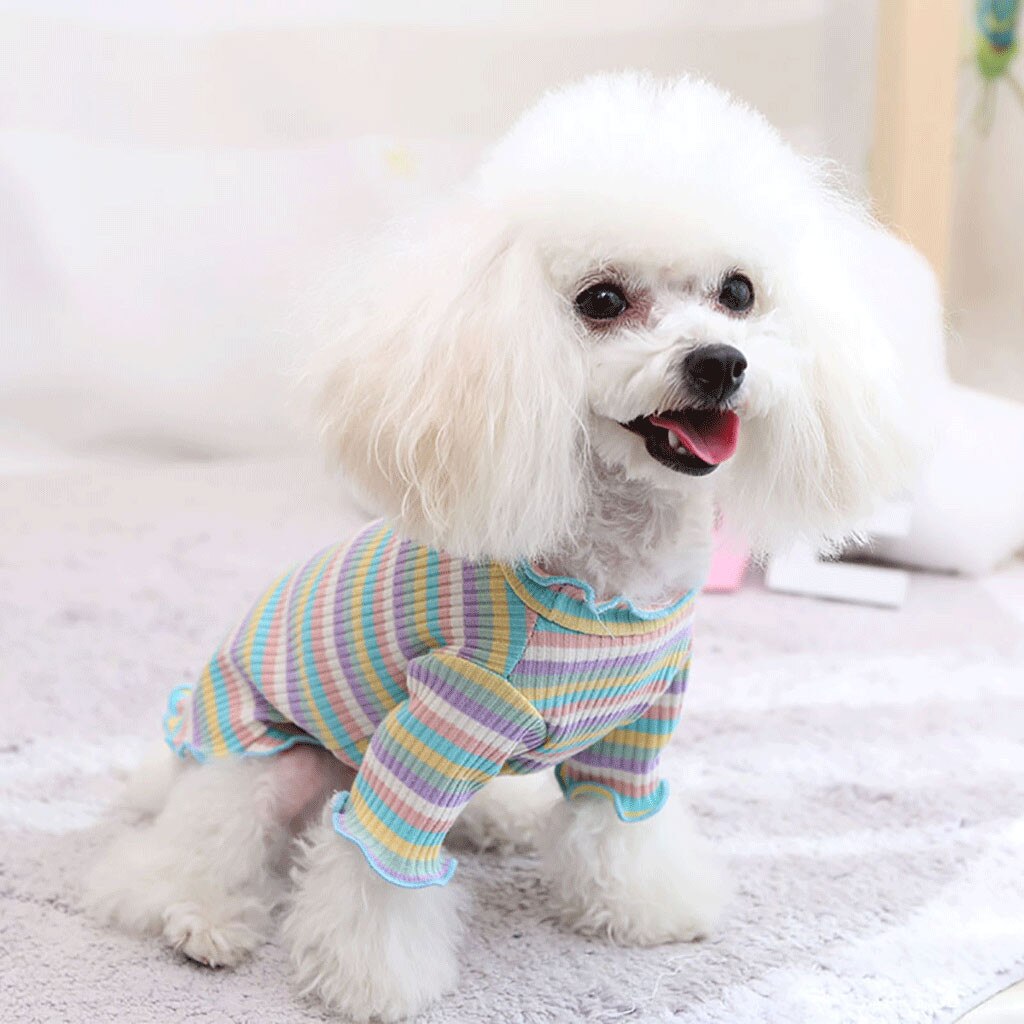 Pet Dog Clothes Puppy Vest T-shirt Shirt Cute Rainbow Pajamas Small Medium Dogs Puppy Outfit Xs-xl Ropa Para Perro Pequeño#c