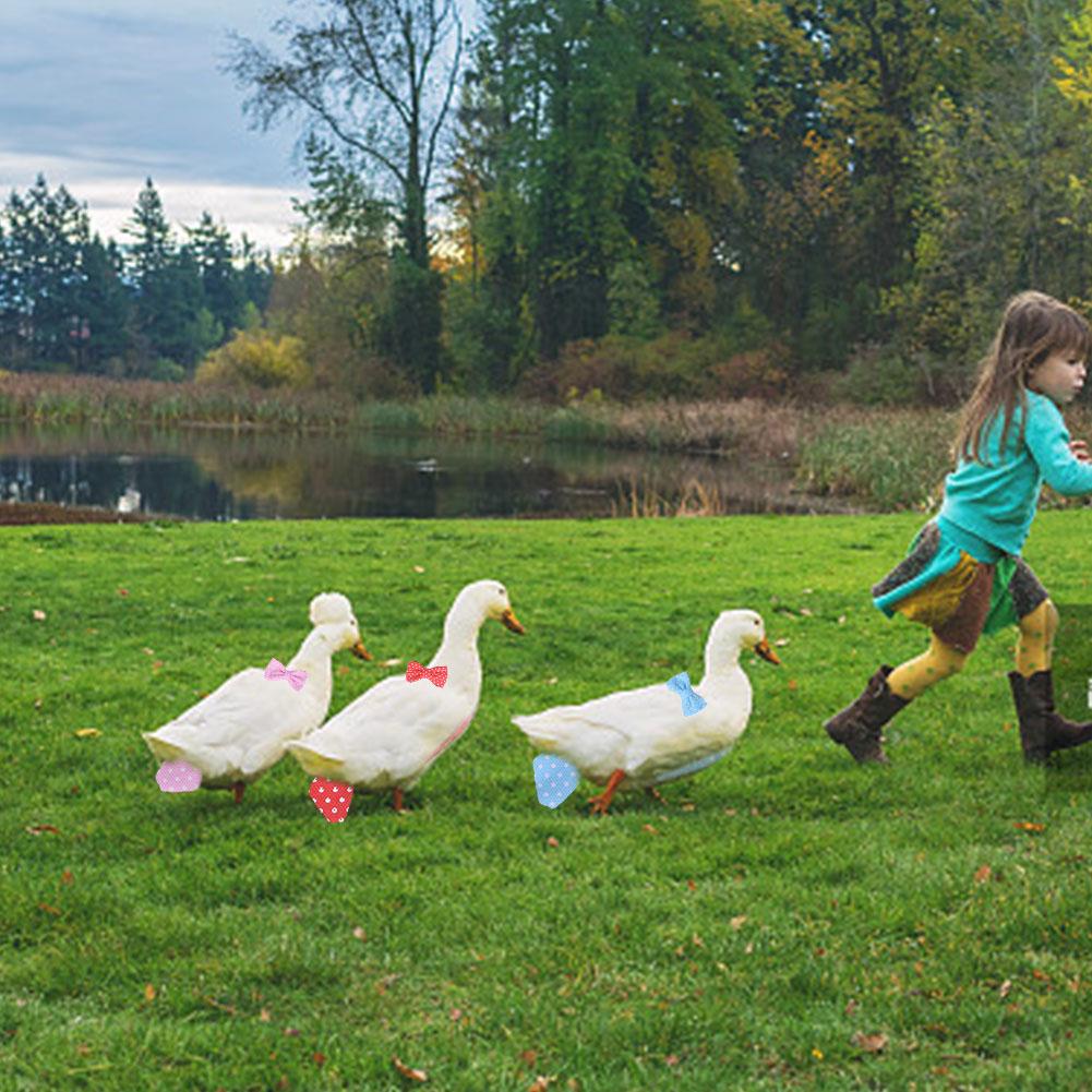 Couche pour animaux de compagnie lavable Portable Portable volaille couche canard coq poule oie Pigeon couche-culotte défécation Convient Carapace de positionnement
