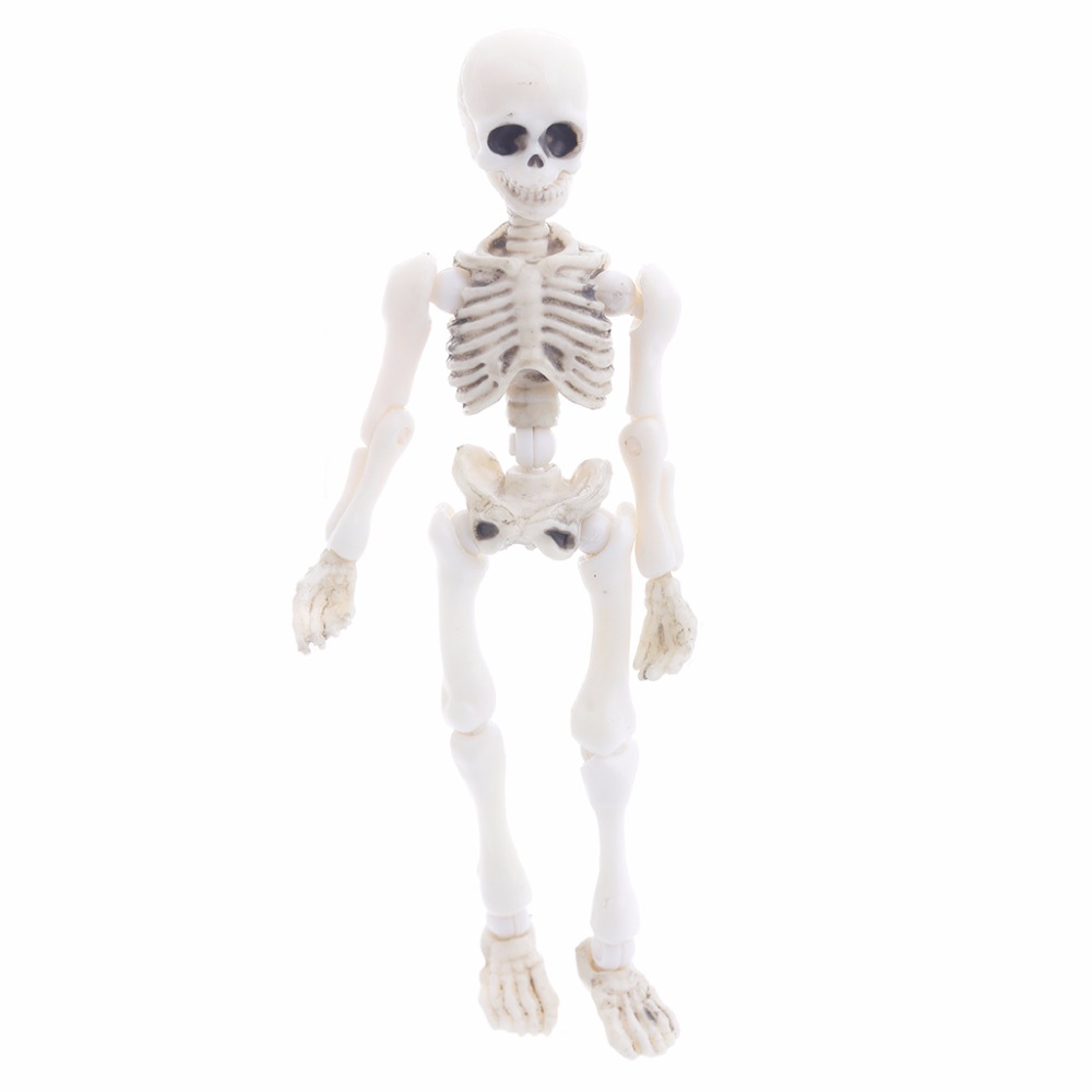 Beweegbare Mr Botten Skelet Menselijke Schedel Model Full Body Mini Figuur Speelgoed Halloween