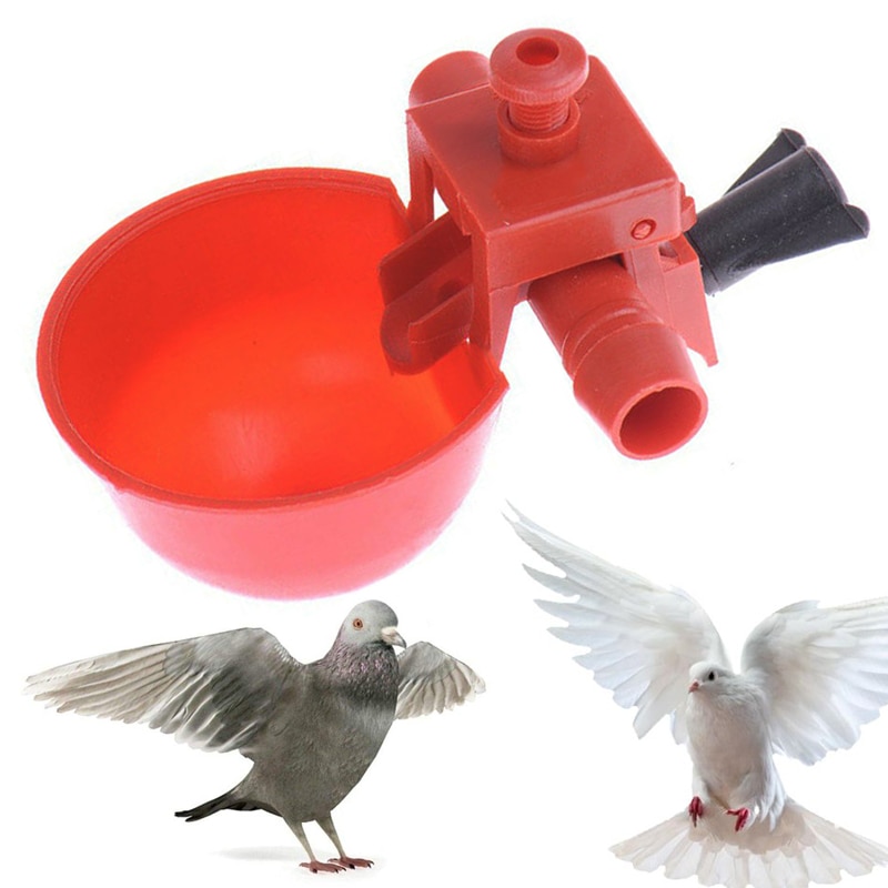 5 Pcs Chicken Drinking Cups Quail Waterer Bowls Bird Automatic Bird Coop Feeder Drinking Cups Red Glass Animal Husbandry Tools