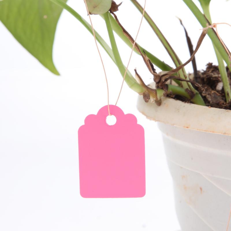 Etiquetas para plantas de vivero impermeables tipo T de PVC de 100 Uds., etiquetas para flores reutilizables de , etiquetas gruesas, adorno para jardín