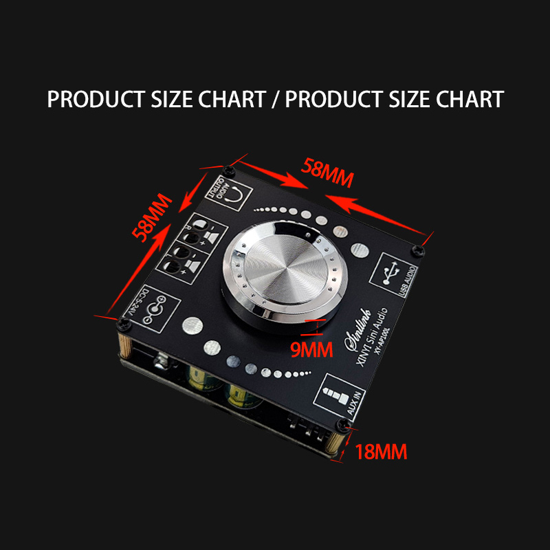 100W+100W Bluetooth 5.0 Stereo Amplifier Board AUX USB Sound Card Digital Power Amp Amplificador DC 12V 24V AP100L