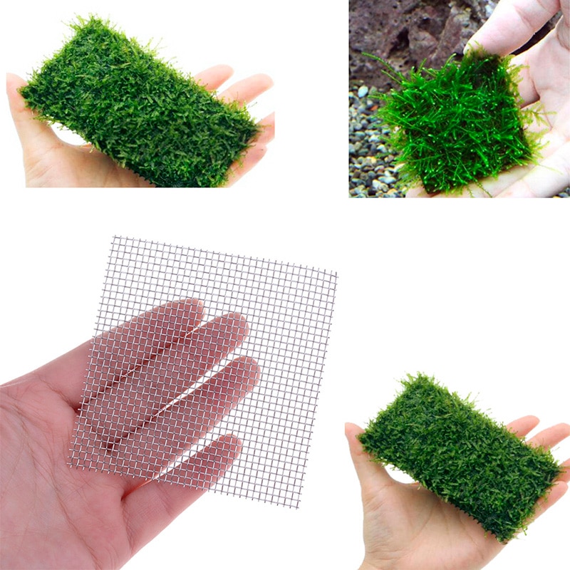Aquarium Stainless Steel Wire Mesh Pad Aquatic Moss Plants Water Grass Mesh Fish Tank Decoration