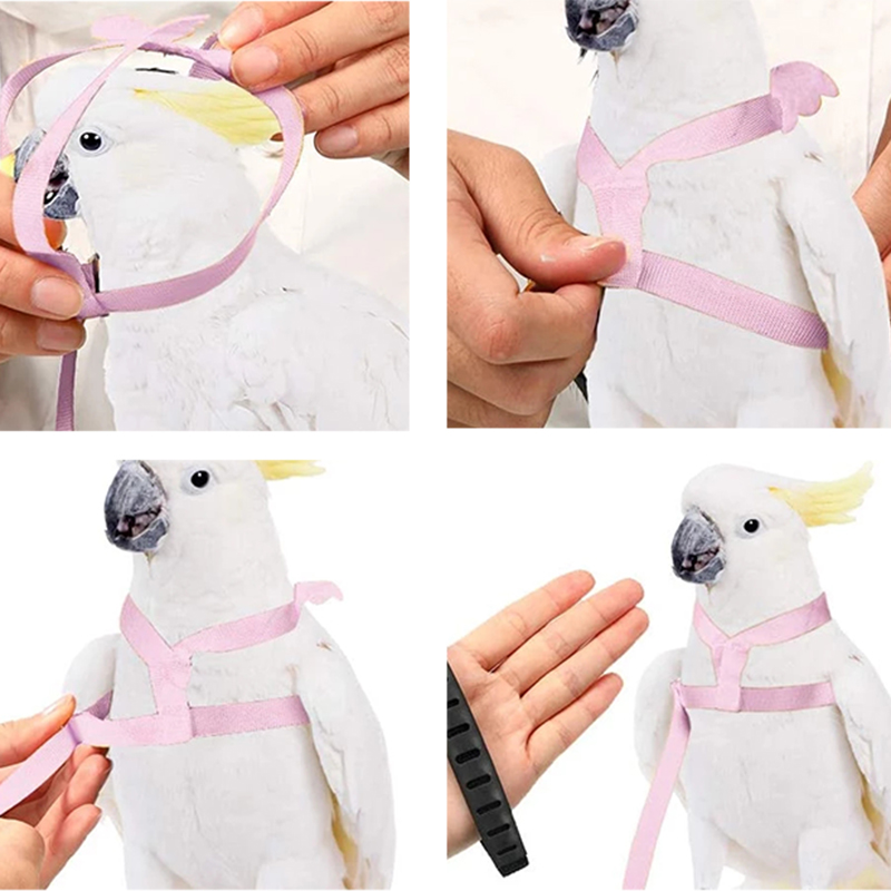 Set di imbracature e guinzagli per pappagalli corda da allenamento per volo all&#39;aperto regolabile con ala per piccoli uccelli medi Cockatiel, Macaw, Budgie