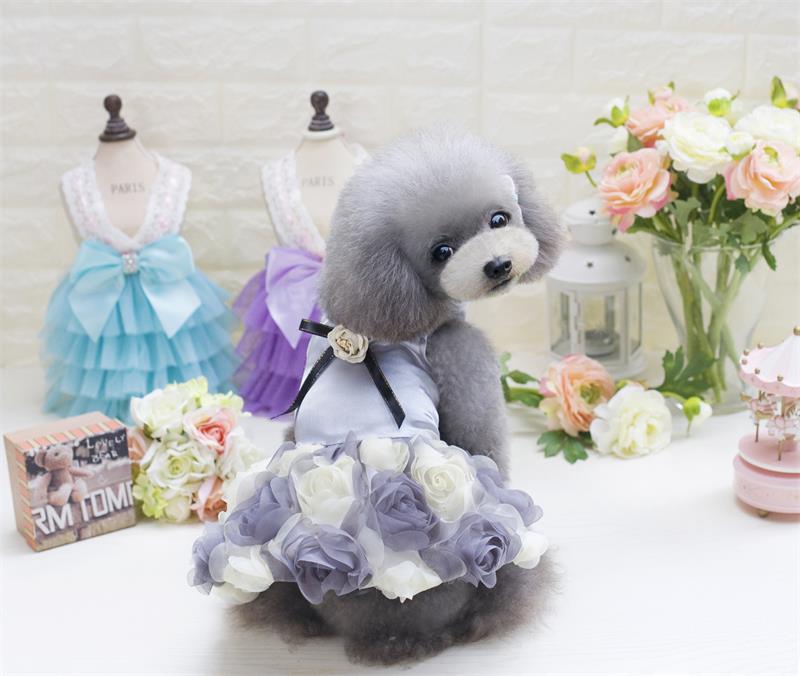 Arrivals Pet Dog Cat Summer Spring Dresses Rose Cute Lace For Small Dog Dresses Poodle Chihuahua Teddy Shirt Princess: gray / XL