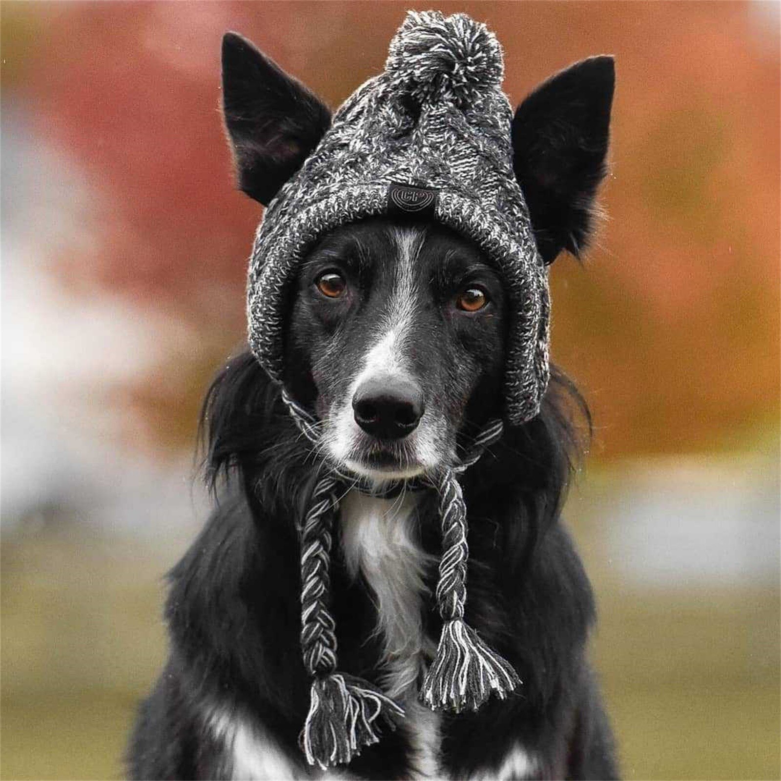 Vinterhundmössa, bedårande varm vintermössa för hund, mössa keps med pompon virkad snood