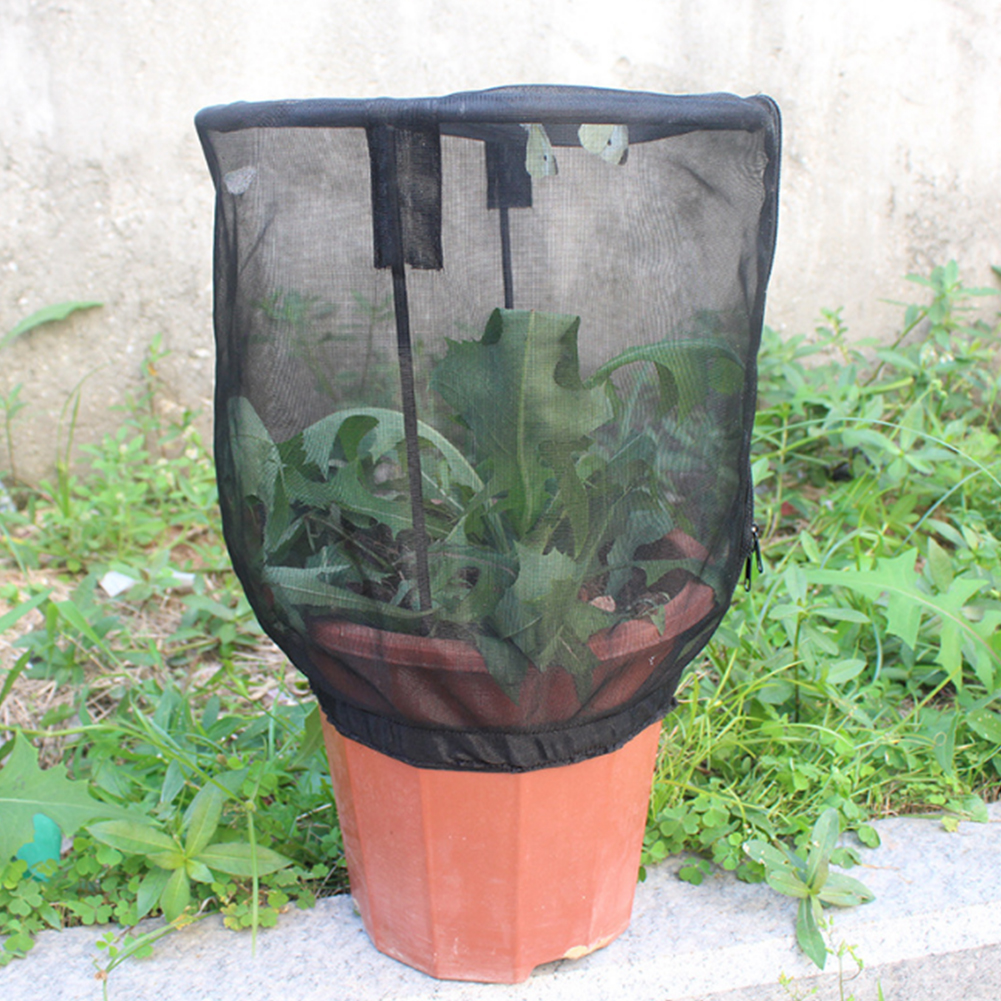 Pot de fleurs Portable Terrarium pour enfants | Cage d'habitat papillon, filet d'alimentation pour insectes, couverture de levage de jardin, plante ornementale, parasol