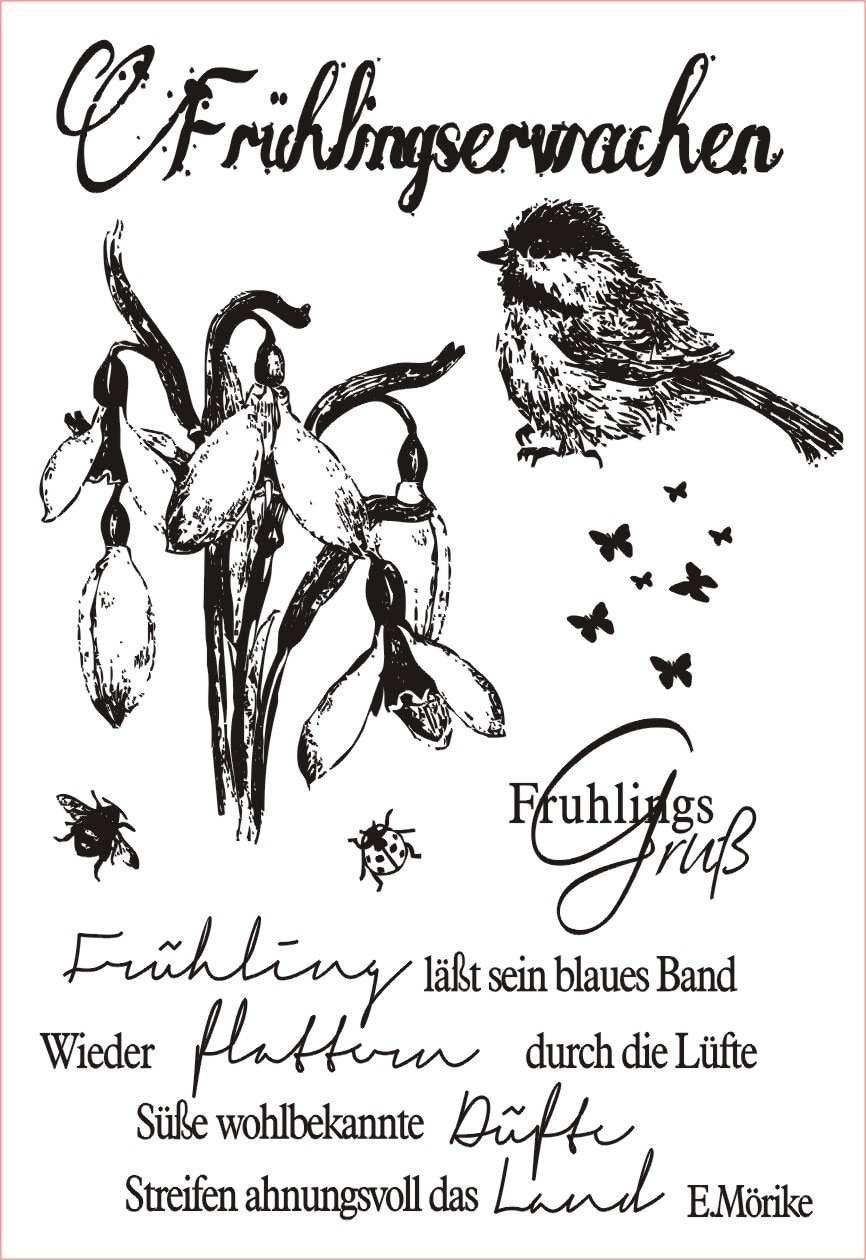 Clear Stamp Set / Clear Stamps / bloem plant Takken en bladeren achtergrondthema Transparante stempel S30 - België