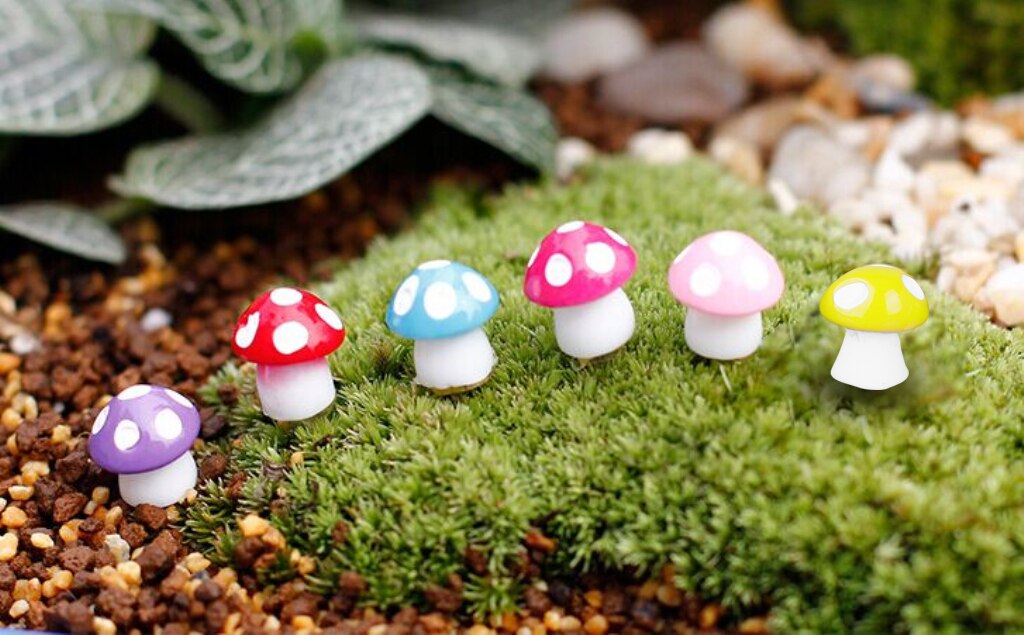 Top Collection Miniatuur Fairy Garden En Terrarium Mini Kikkers Op Paddestoelen Standbeeld 3006639113 Top Collection Miniatuur Fairy Garden En Terrarium Mini Kikkers Op Paddestoelen Standbeeld 3006639113