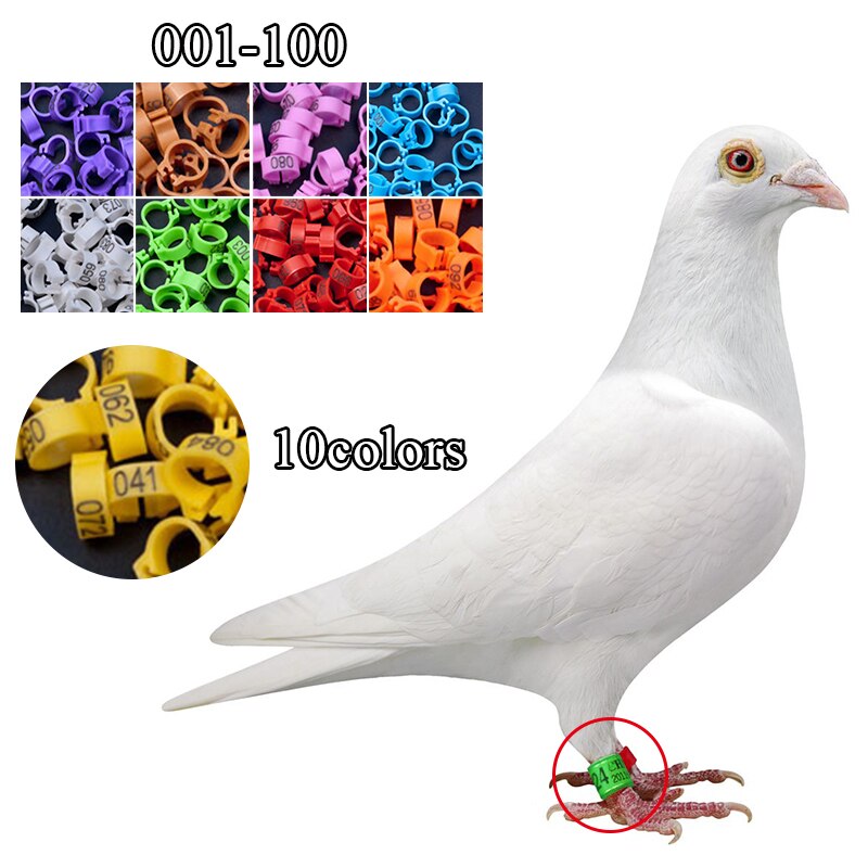 Opening Pigeon Foot Ring Digital Numerical Pigeon Foot Ring Pigeon Marking Ring Identification Ring Detachable Foot Ring