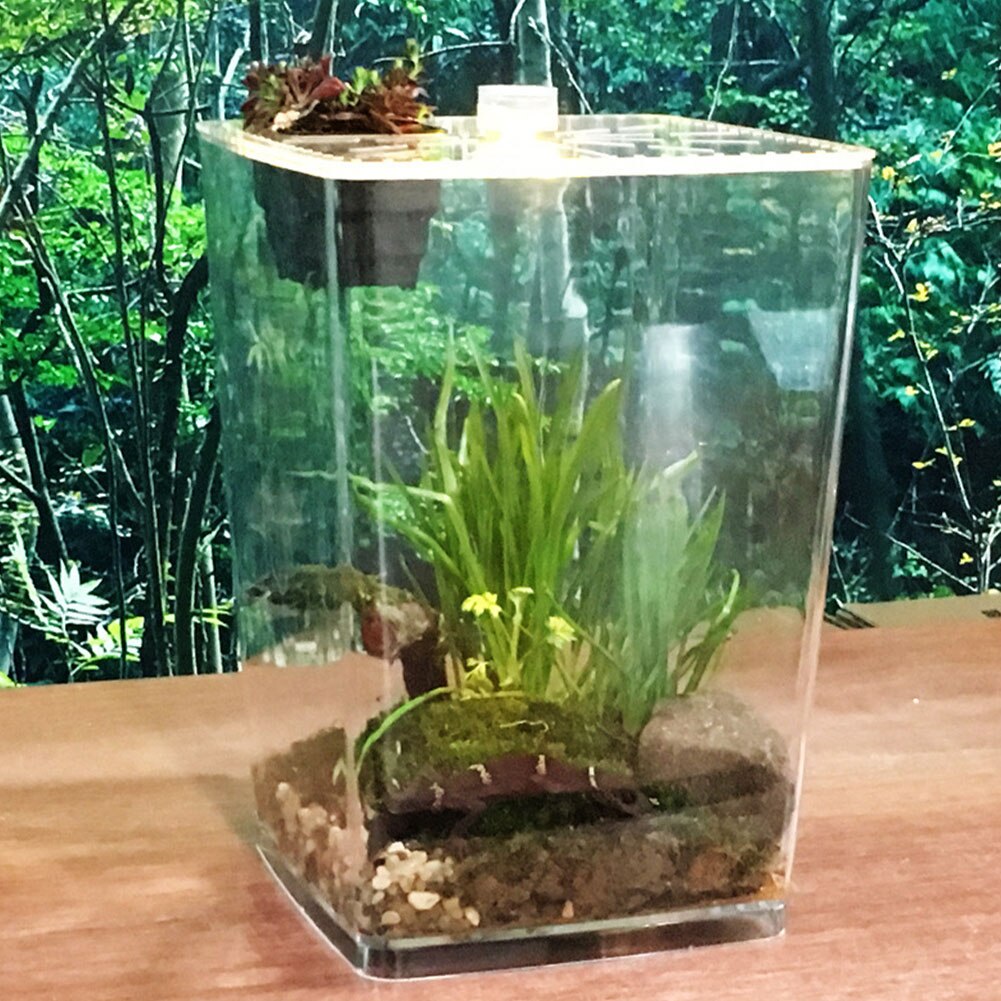 Terrarium For Reptiles Transparent Plastic Reptile Breeding Box Clear Acrylic Reptile Terrarium Feeding Box For Geckos Spiders