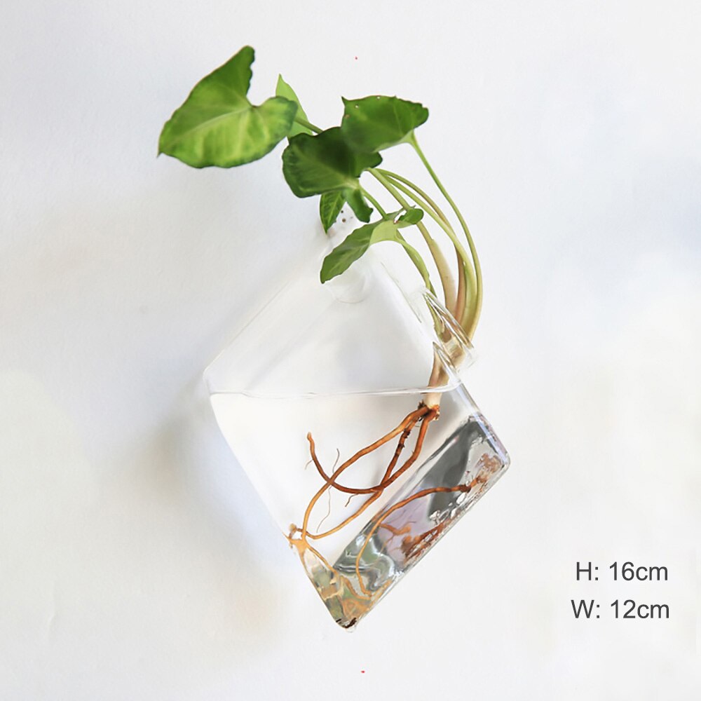 Vase à Fleurs en Verre Suspendu au Mur, à la , Terrarium Mural, Aquarium, Conteneur, Pots de Décoration de Jardin, pour la Maison: 5
