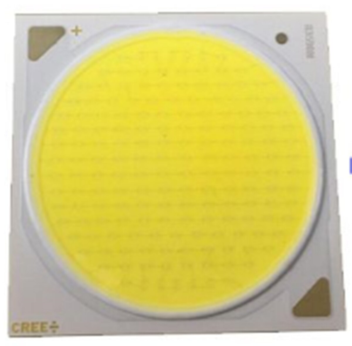 Diy Cree Cob CXB3590 Led Licht Groeien Met Ideaal Houder 50-2303CR Pin Fin Koellichaam Meanwell Driver 100Mm Glas lens/Reflector: CREE CXB 3590 5000K