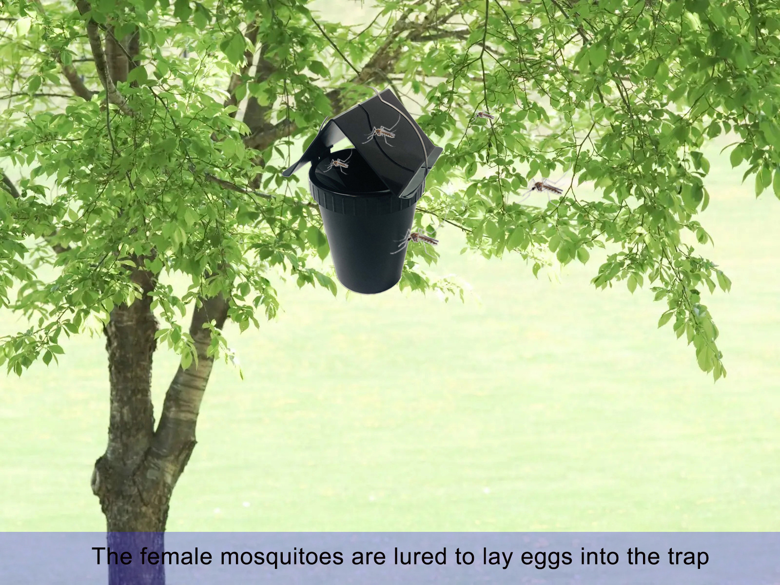 Seau antiparasitaire en plastique réutilisable pour l'extérieur, 4 pièces, piège à moustiques