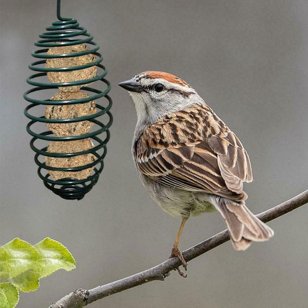 Garden Wild Bird Feeder Hook Hanging Seed Outdoor Squirrel Feeding Metal Spring Bird Feeder