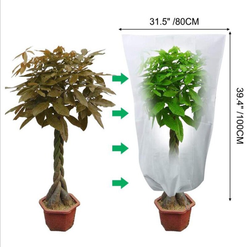 Warm Plant Cover Shrub Protecting Bag Frost Protection For Yard Garden Plants Small Tree Winter Against Cold