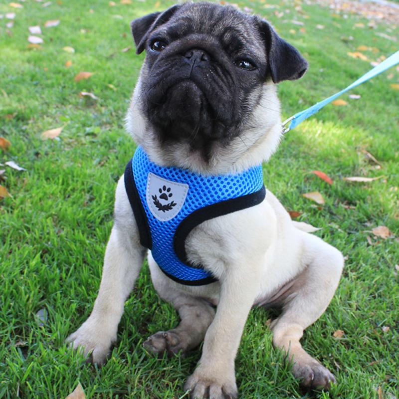 Dog Harness Vest Training Puppy Soft Mesh Pet Harness For Dogs Cats Small Nylon Chest Strap Bulldog Mascarillas Home Garden