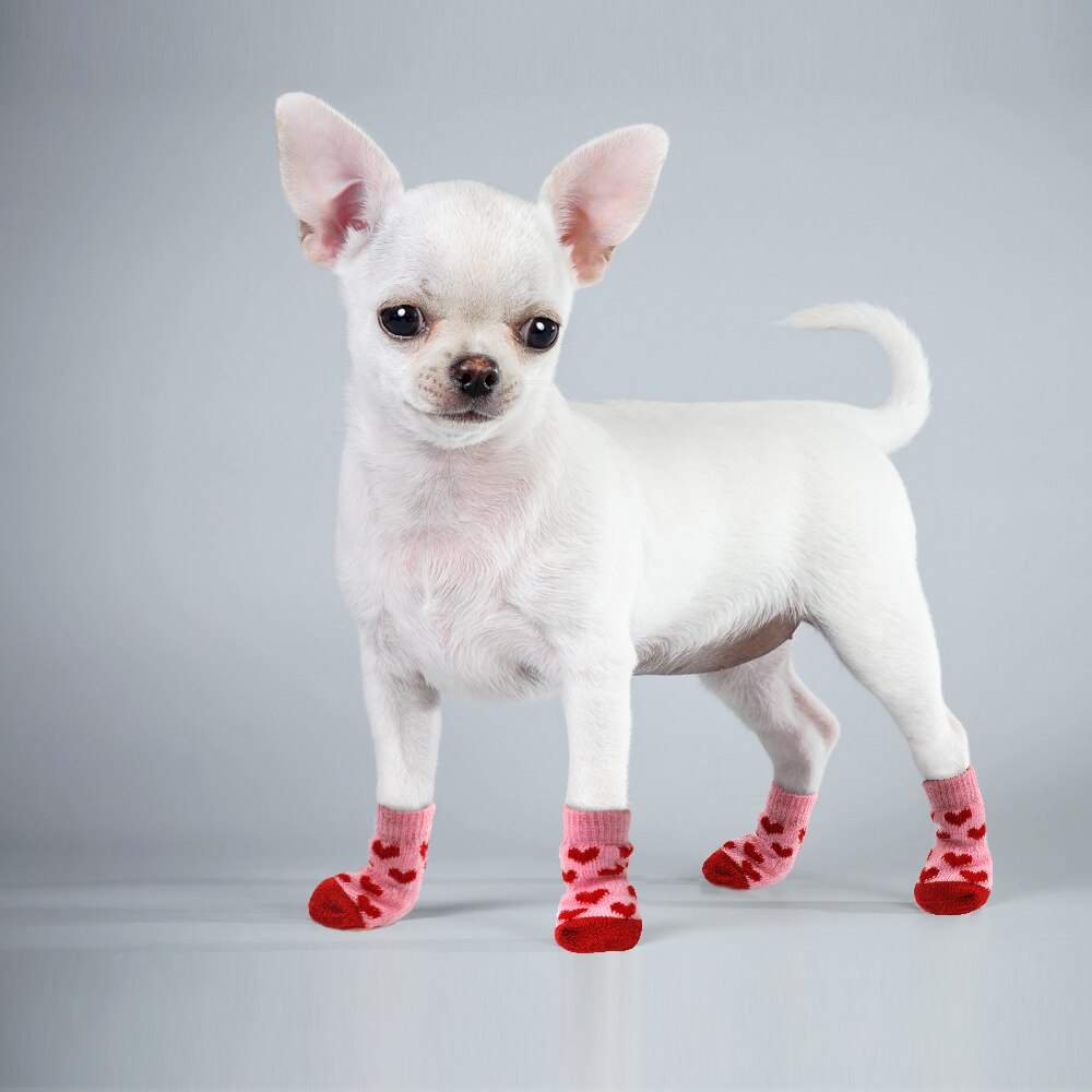 Winter Hond Schoenen Anti-Slip Gebreide Sokken Kleine Honden Kat Schoenen Chihuahua Dikke Warme Poot Protector Hond Sokken booties Accessoires