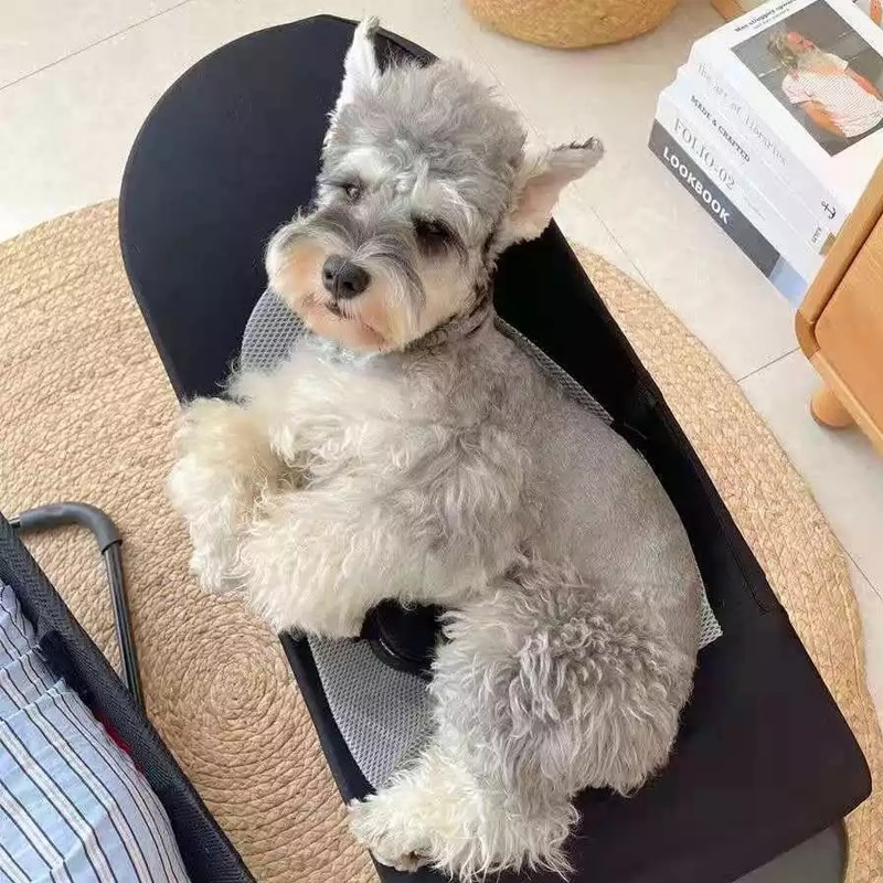 Chaise à bascule pour animaux domestiques, lit inclinable, Portable, pliable, confortable, pour chiens et chats, fournitures pour chiots et chatons