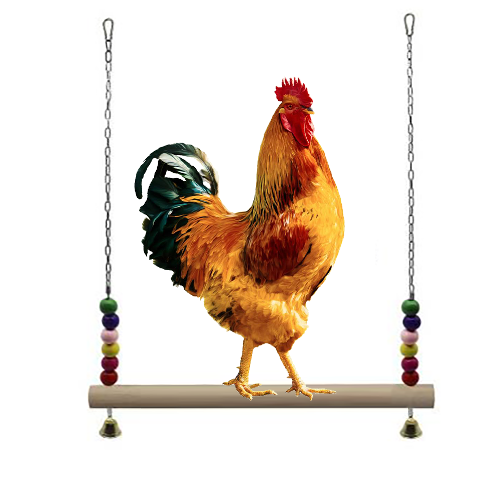 Große Huhn Leiter Schaukel Hängen Holzsitzstangen Sittich Papagei Kauen ÜSpund Spielzeug mit Glocken für Große Vogel Hühner Ara Ausbildung