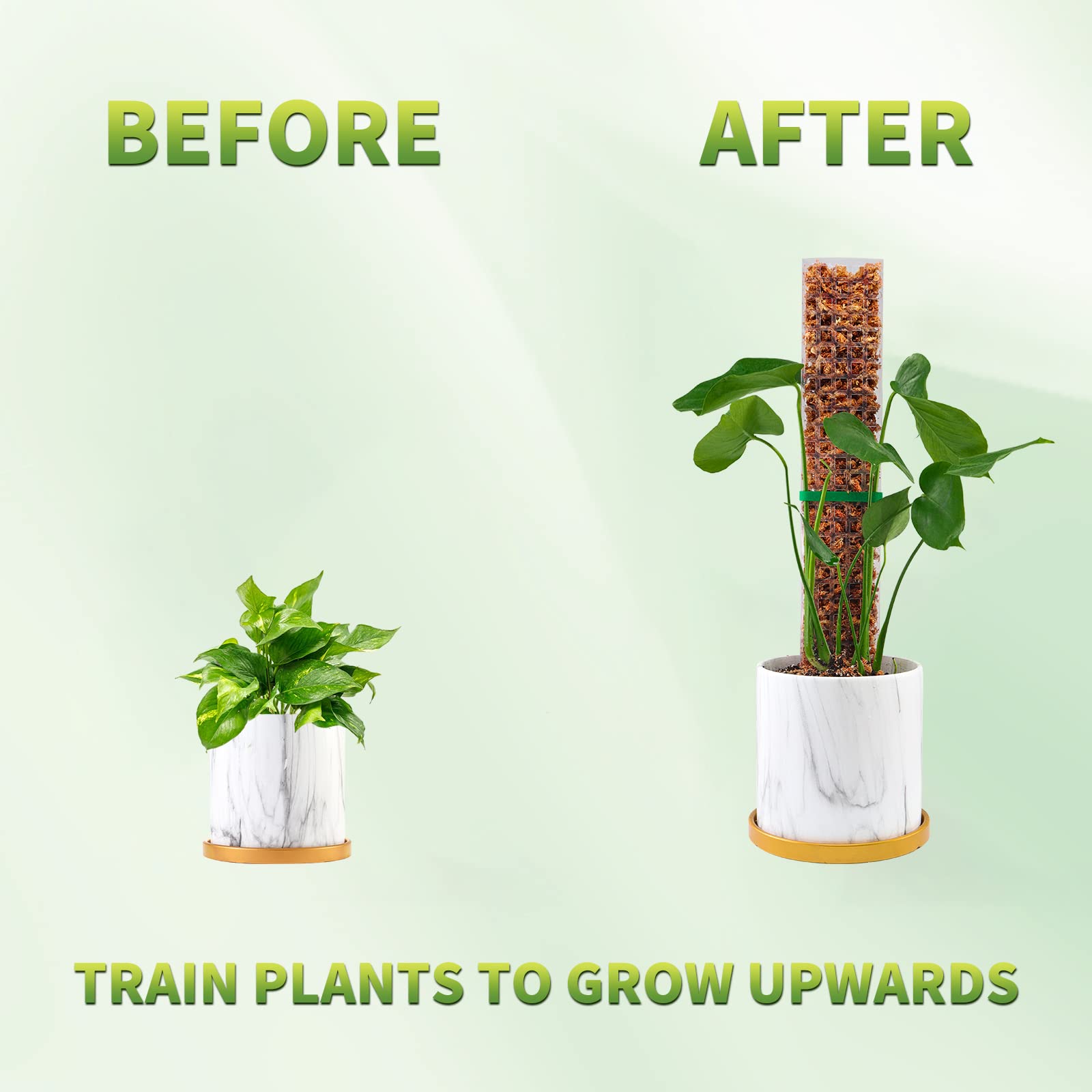 Mosstokken Planten Plantensteun Kunststof Transparant Herbruikbaar Binnen Potstokken Trein Creeper Plant om naar boven te groeien voor de tuin