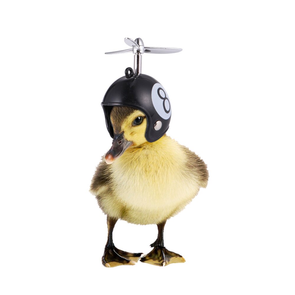 Grappige Kippenhelm - 2 stuks - Dierenbeschermingsmateriaal - Zon- en Regenbescherming - Vogel Kostuums Accessoires