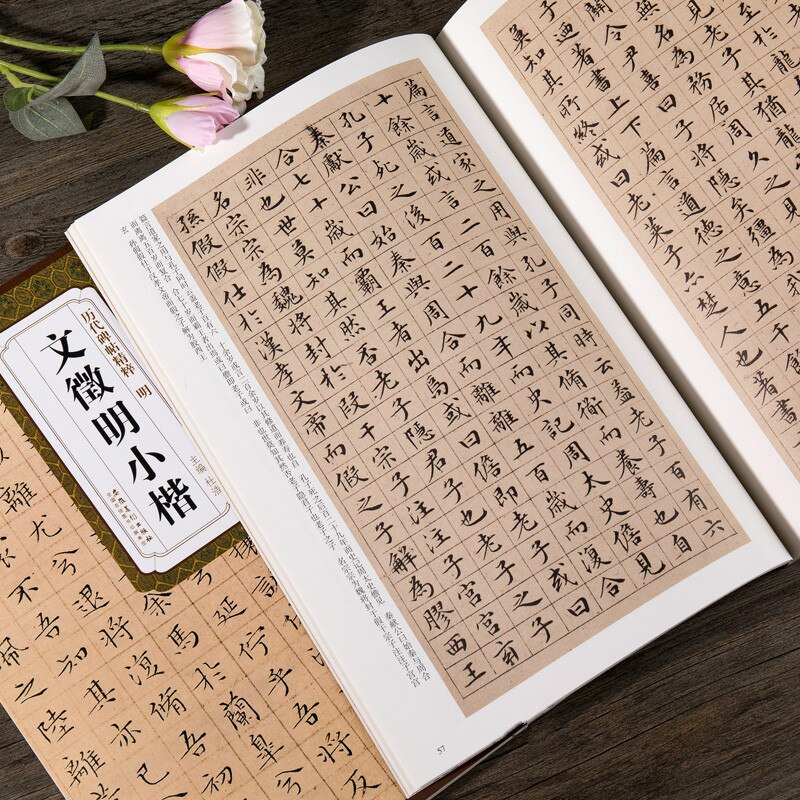 Cahier de calligraphie chinoise, petit cahier régulier, cahier à friction, écriture sur pierre, pratique de la calligraphie