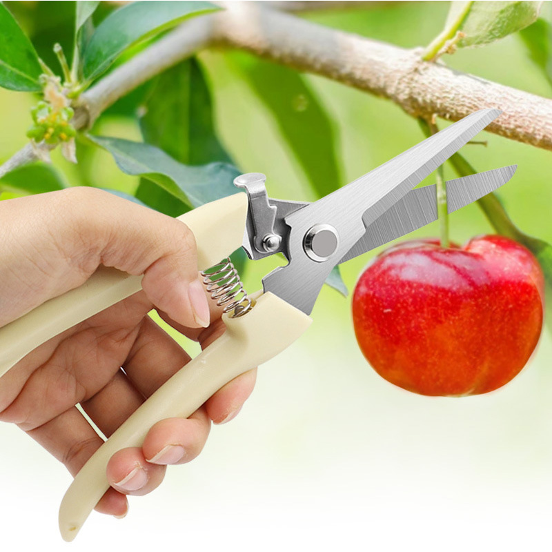 Garden Pruning Shears Stainless Steel Pruning Tools Garden Potting Shears Manual Pruning Shears Gardening Tools