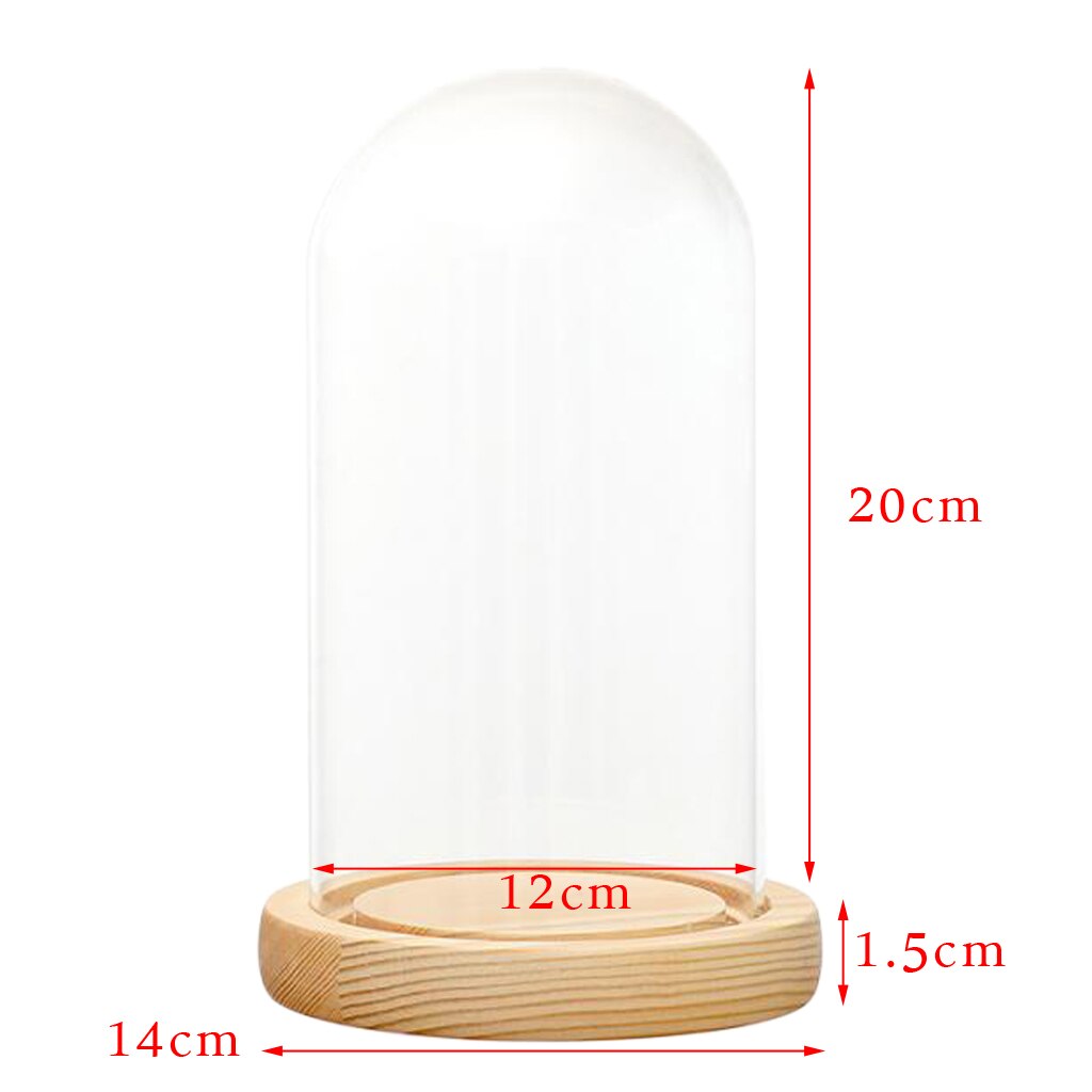 Glass Display Dome + LED Wooden Base, Decorative Clear Glass Cloche Bell Jars Display Dome for Decor: F 12x20cm