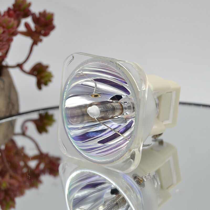 Optoma SP.8EG01GC01 Compatible Projector Lamp - 200W Replacement Bulb