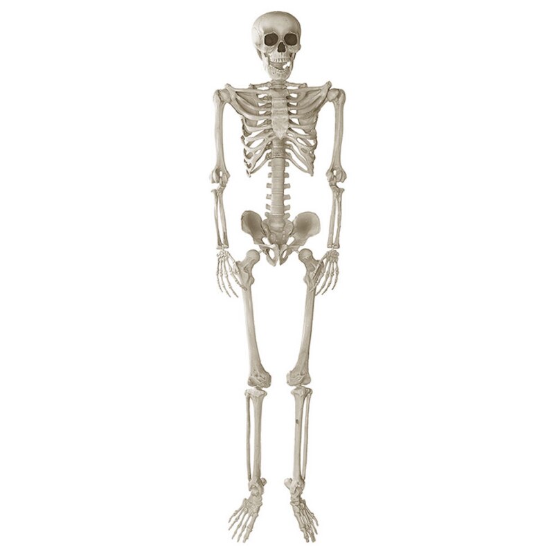 Halloween Skelet Tool Party Accessoires Room Escape Lastig Gadget Kit Terreur Plastic Halloween Skelet